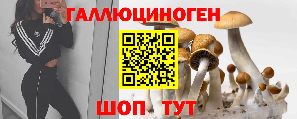 Галлюциногенные грибы прущие грибы  Вход с VPN  Сергиев Посад 